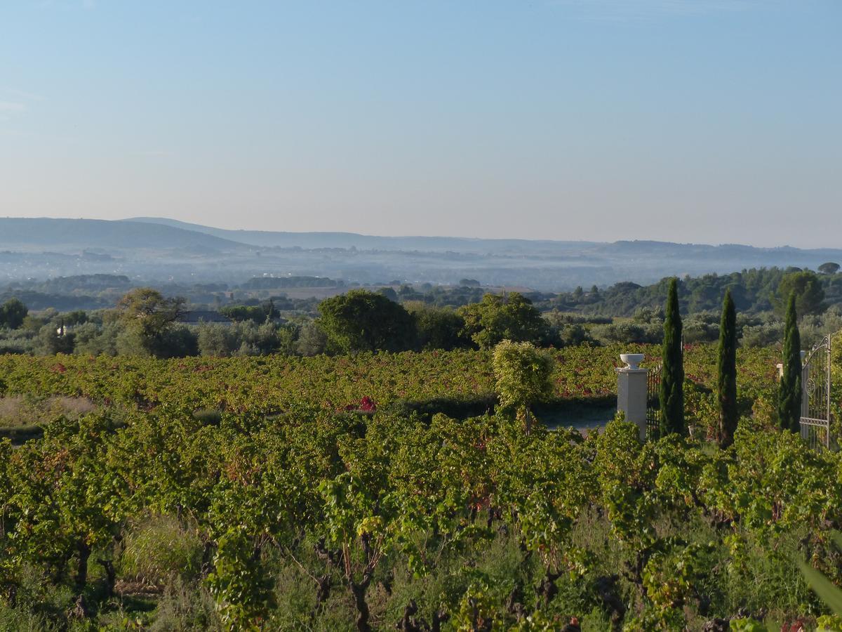 Chateau De Valloubiere-Gite Saint-Jean-de-Fos ภายนอก รูปภาพ